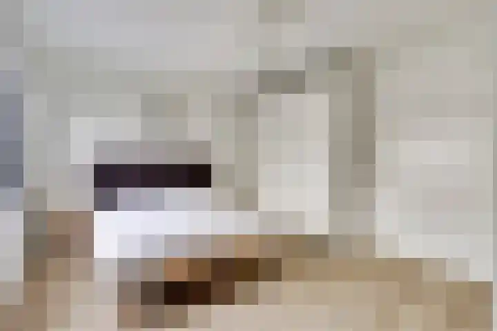 IJsbaanweg 5 C Twello thumbnail 20