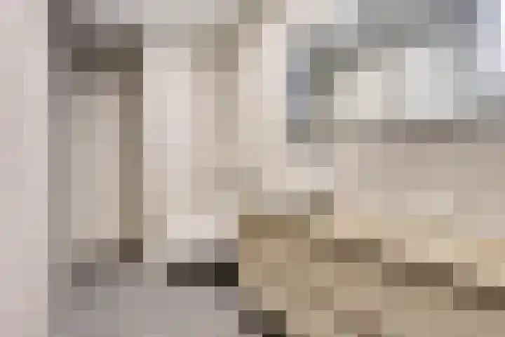 IJsbaanweg 5 C Twello thumbnail 22