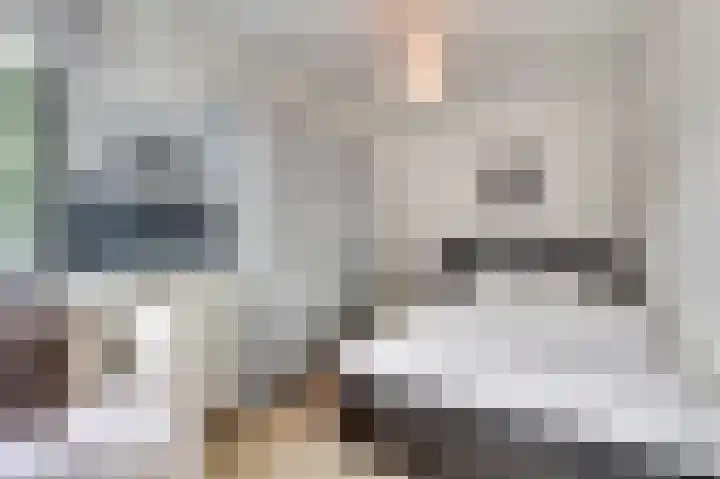 IJsbaanweg 5 C Twello thumbnail 26