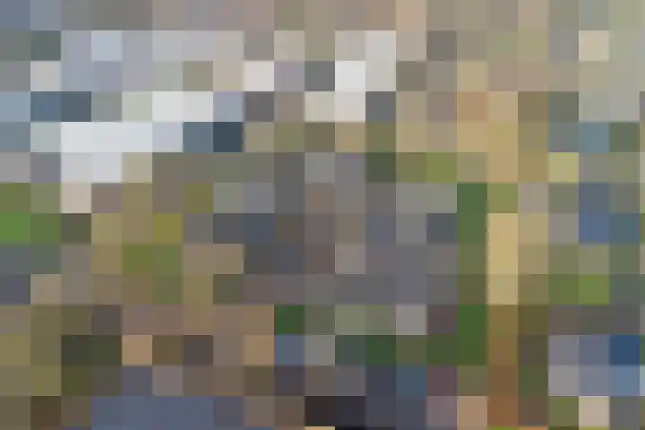 IJsbaanweg 5 C Twello thumbnail 39
