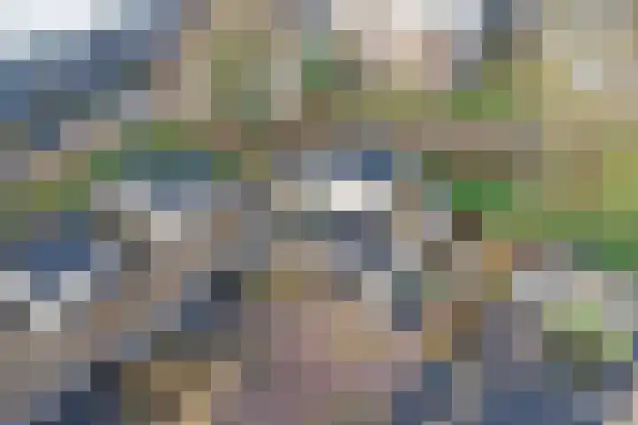 IJsbaanweg 5 C Twello thumbnail 40