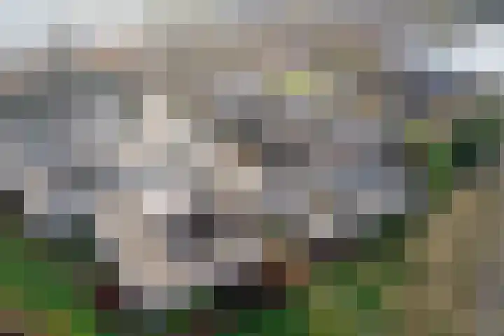 IJsbaanweg 5 C Twello thumbnail 41