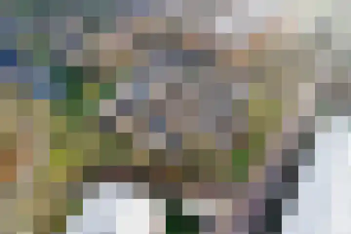 IJsbaanweg 5 C Twello thumbnail 42