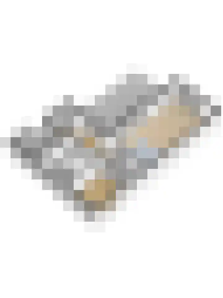 IJsbaanweg 5 C Twello thumbnail 44