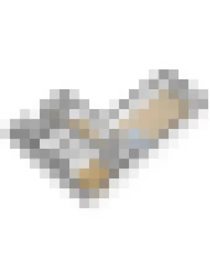 IJsbaanweg 5 C Twello thumbnail 46