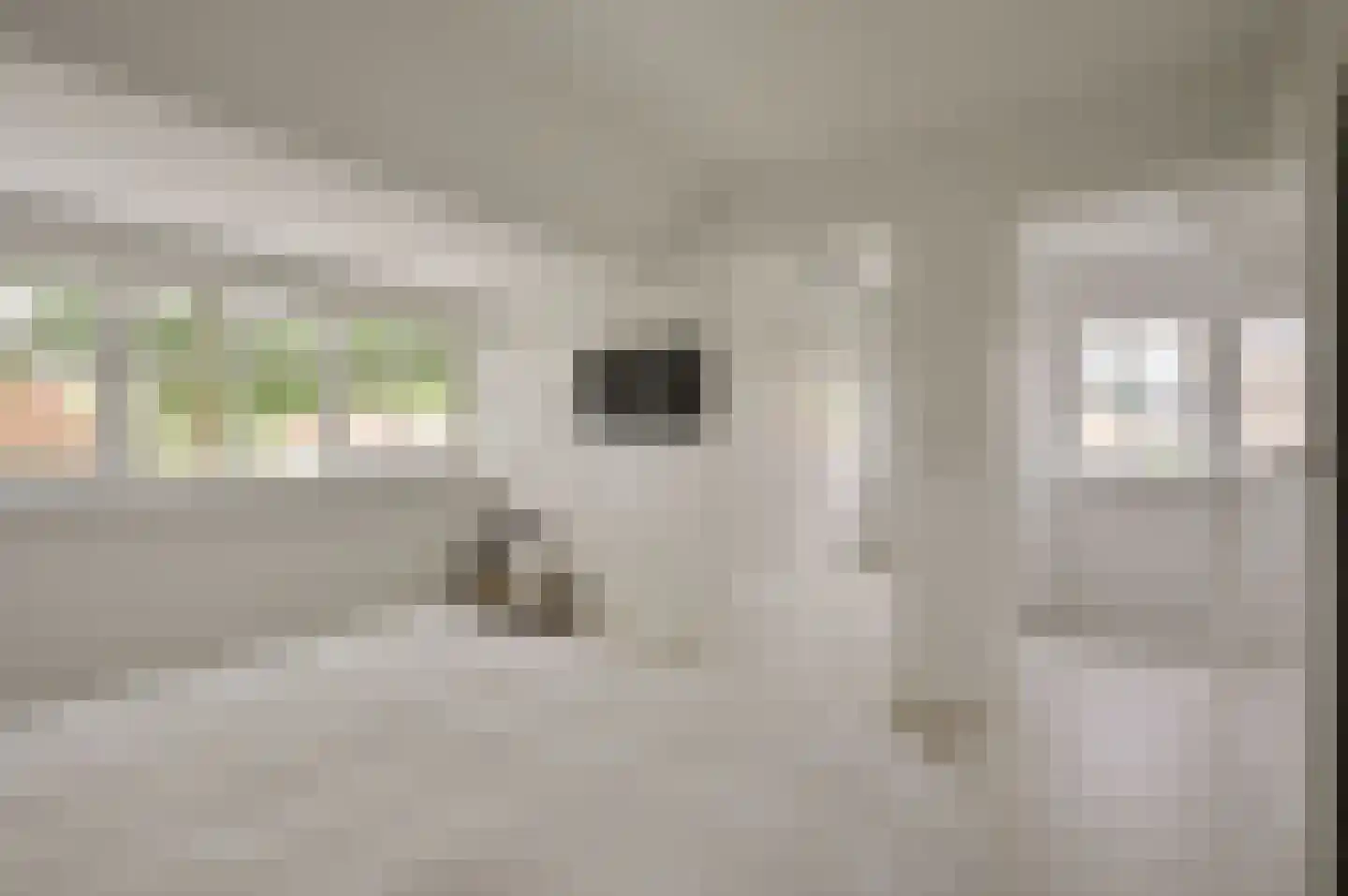 IJsbaanweg 5 Laren thumbnail 15