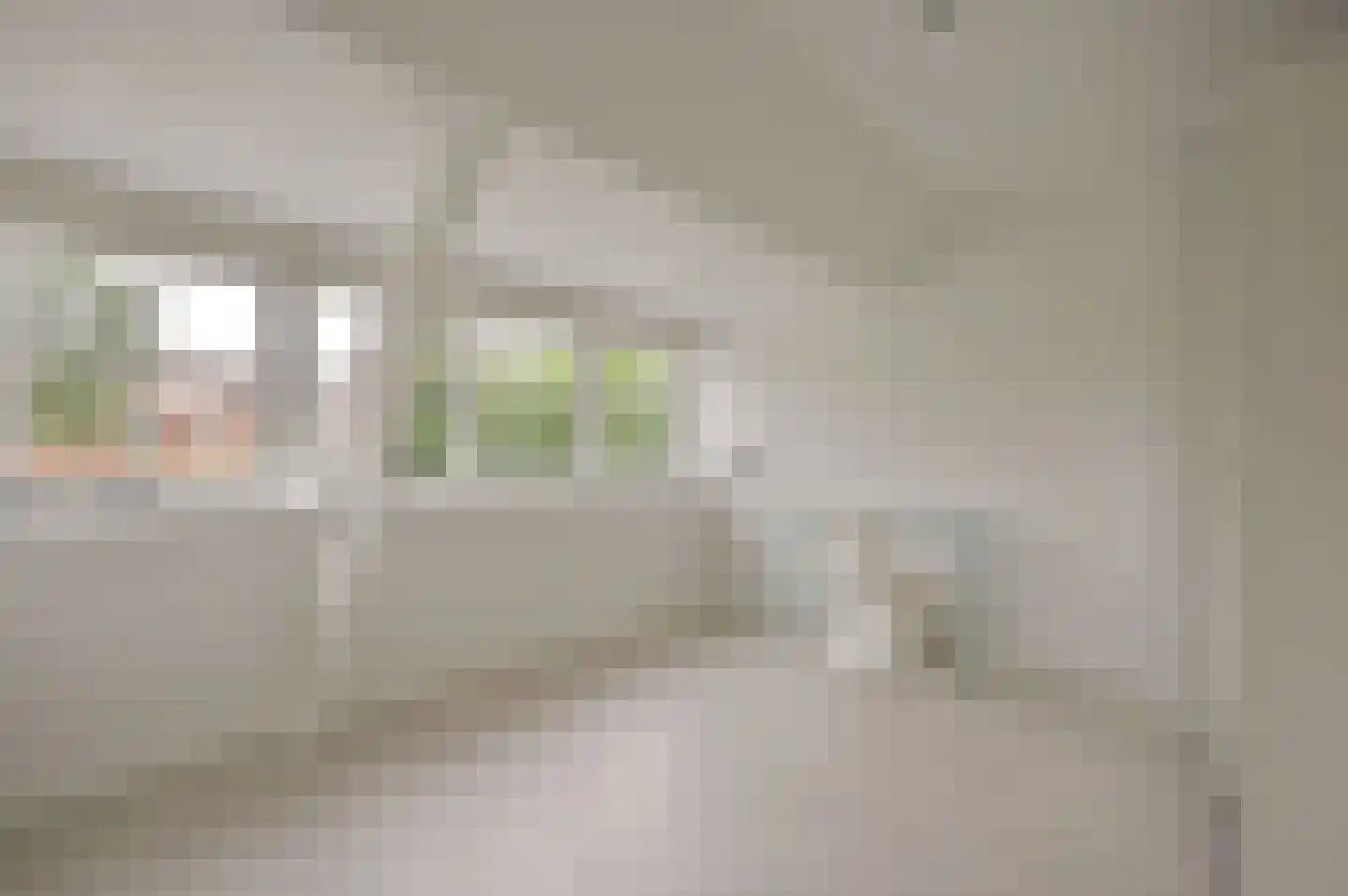 IJsbaanweg 5 Laren thumbnail 19