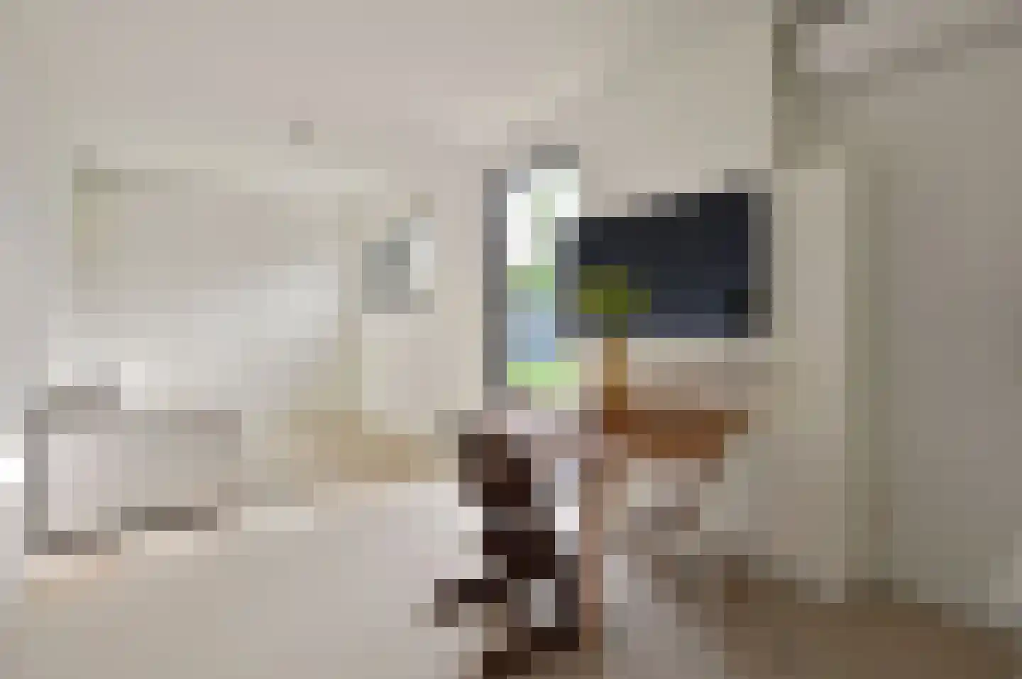 IJsbaanweg 5 Laren thumbnail 20