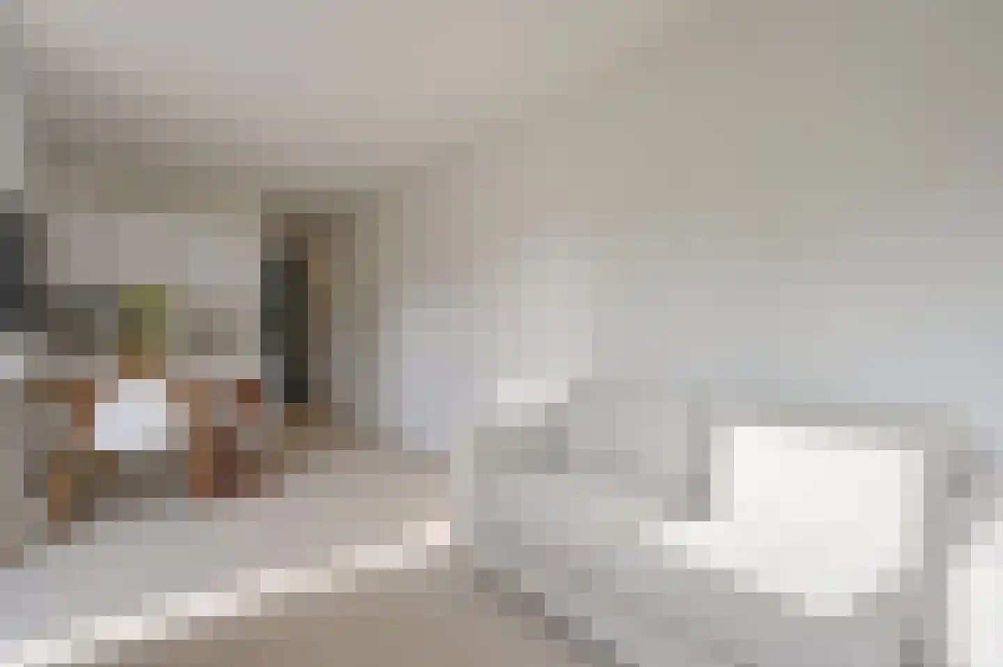 IJsbaanweg 5 Laren thumbnail 23