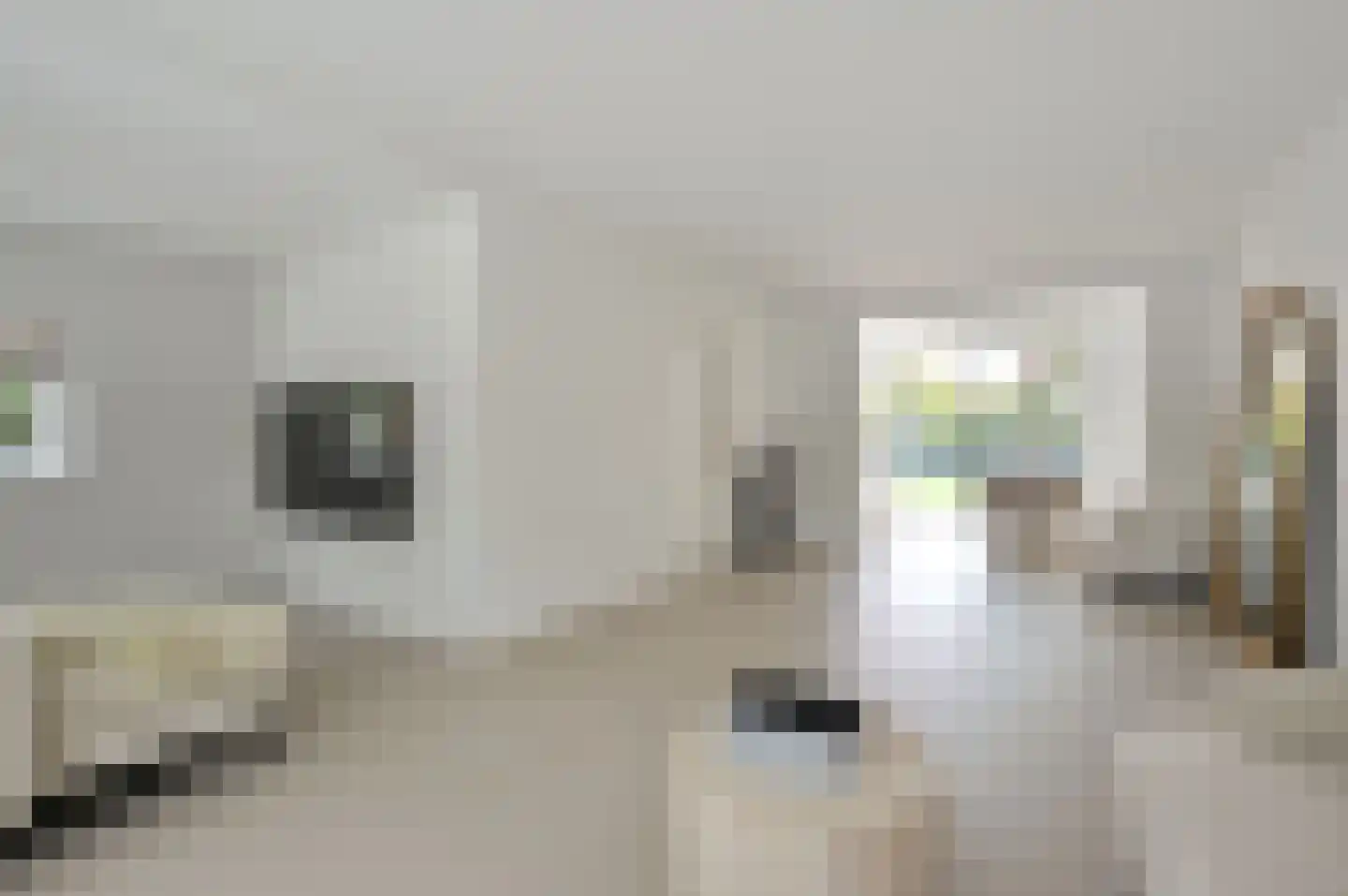 IJsbaanweg 5 Laren thumbnail 7