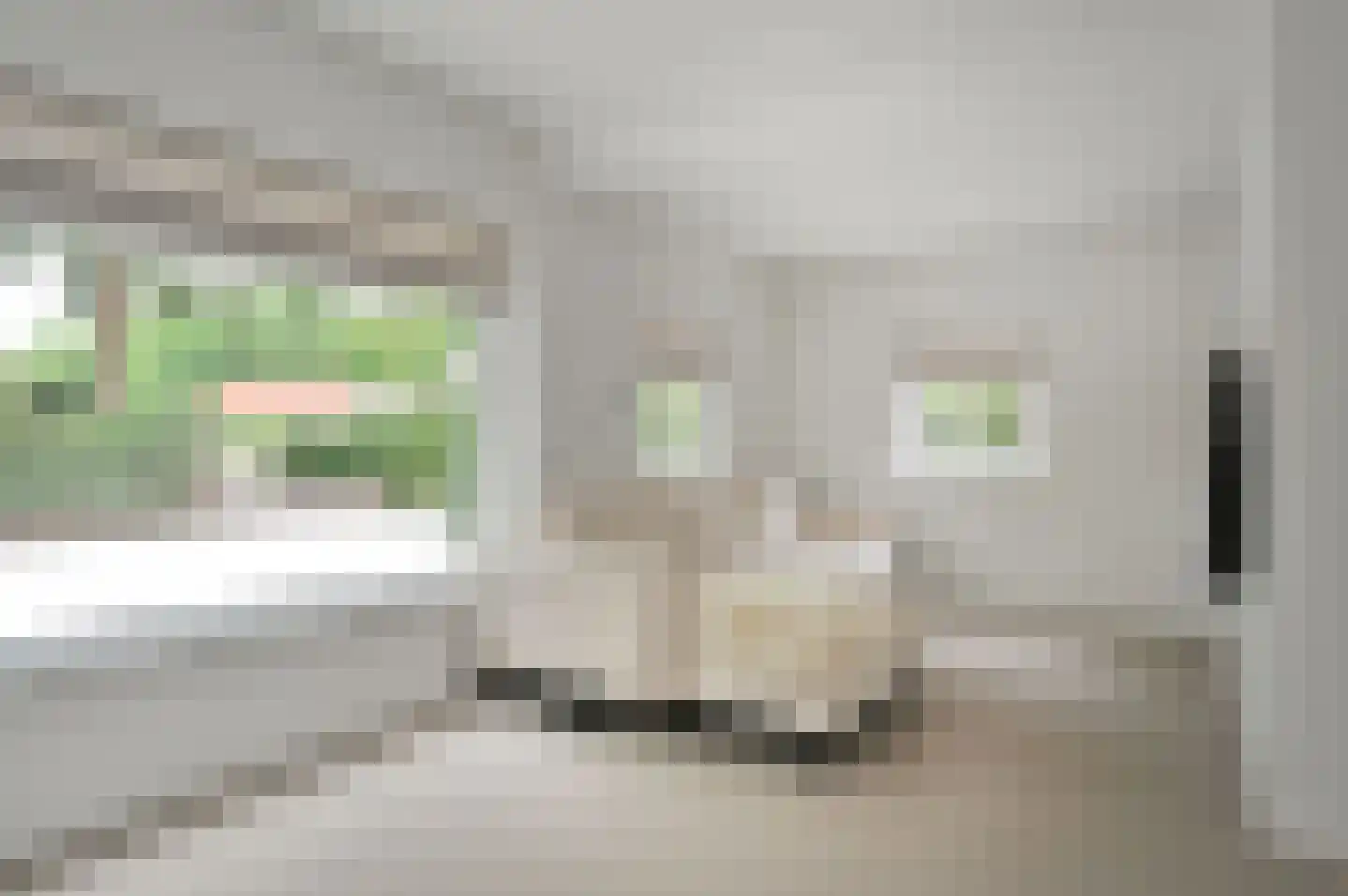 IJsbaanweg 5 Laren thumbnail 8