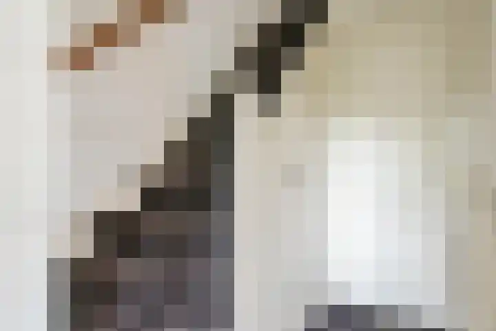 IJsbaanweg 9 Laren thumbnail 31