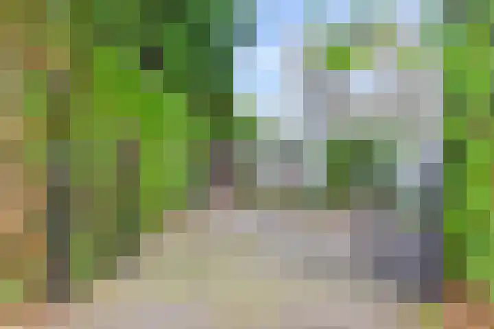 IJsbaanweg 9 Laren thumbnail 4