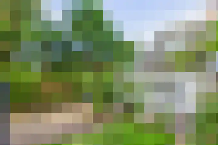 IJsbaanweg 9 Laren thumbnail 5