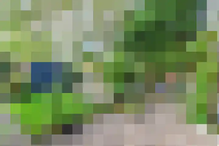 IJsbaanweg 9 Laren thumbnail 6