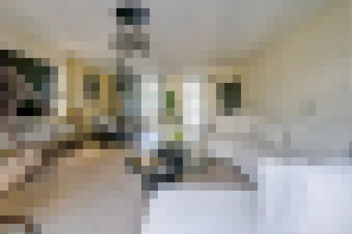 IJsbeer 42 Heerhugowaard thumbnail 10