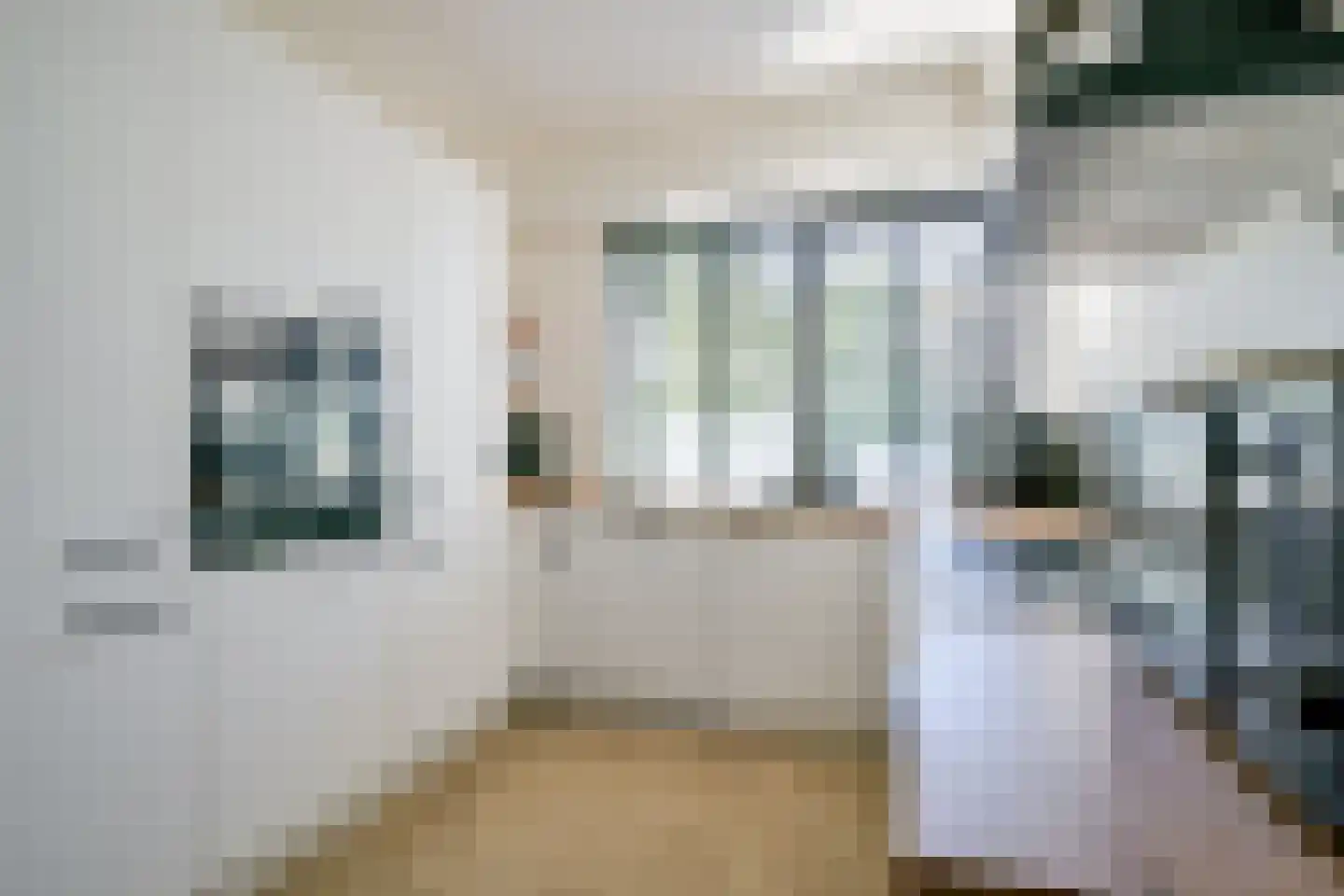 IJsbeer 42 Heerhugowaard thumbnail 12