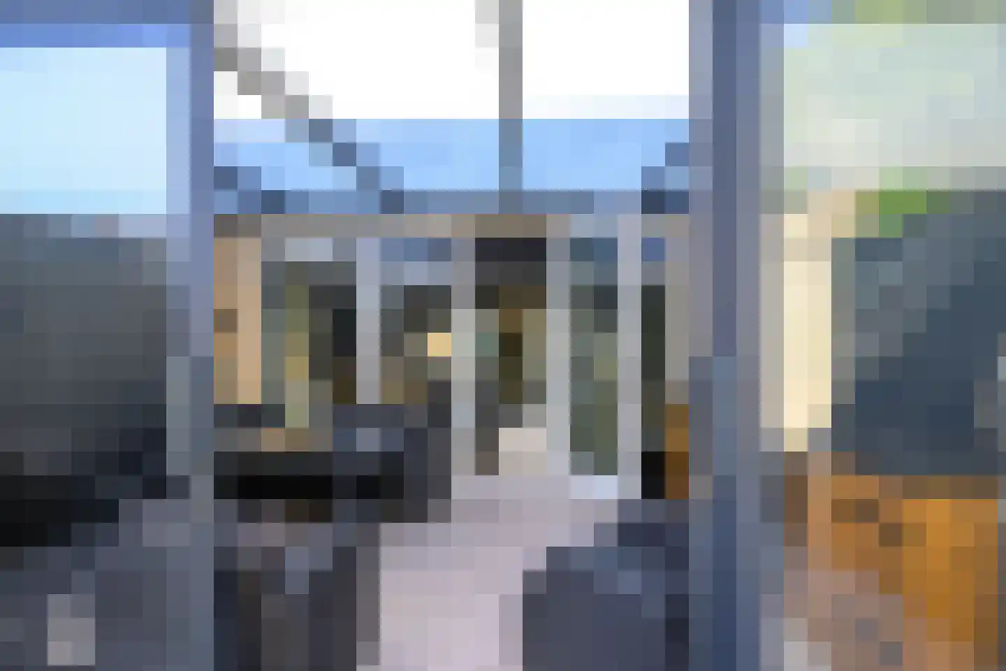 IJsbeer 42 Heerhugowaard thumbnail 17