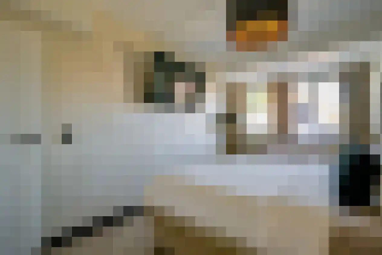 IJsbeer 42 Heerhugowaard thumbnail 21