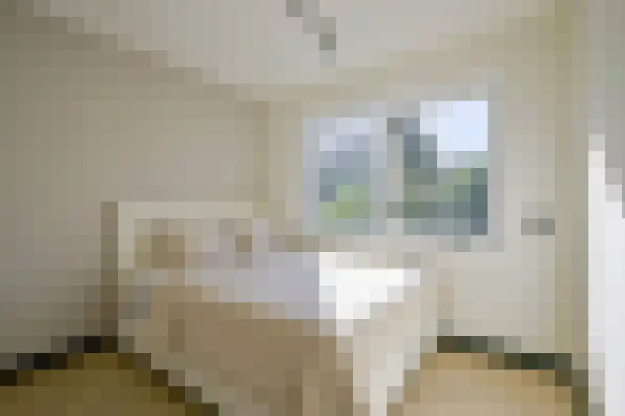 IJsbeer 42 Heerhugowaard thumbnail 22