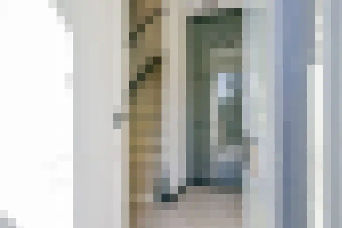 IJsbeer 42 Heerhugowaard thumbnail 8