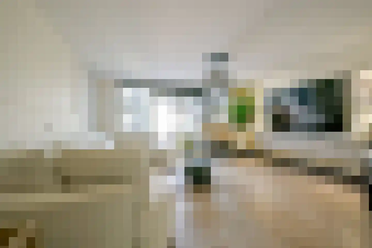IJsbeer 42 Heerhugowaard thumbnail 9