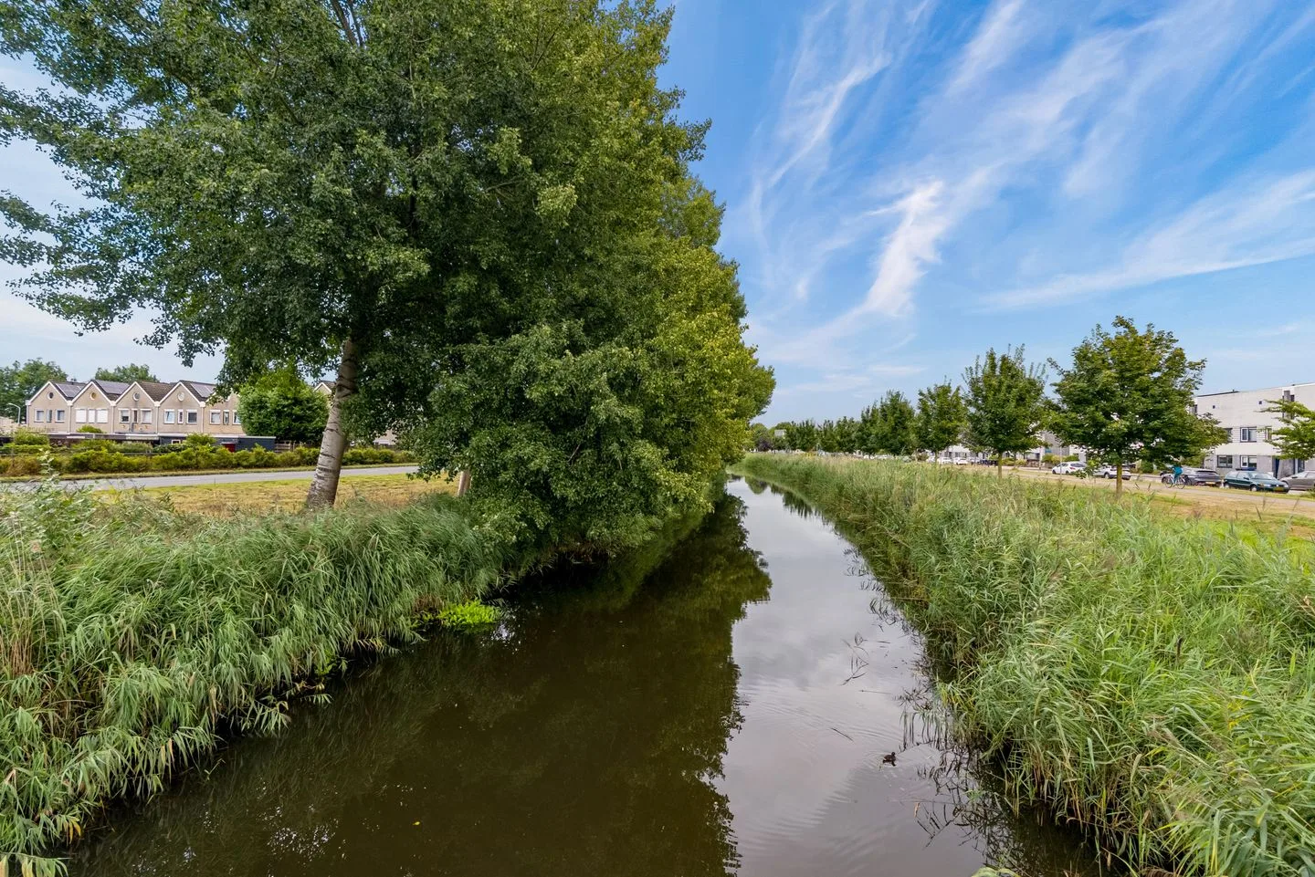 IJsbeerpad 10 Almere thumbnail 42