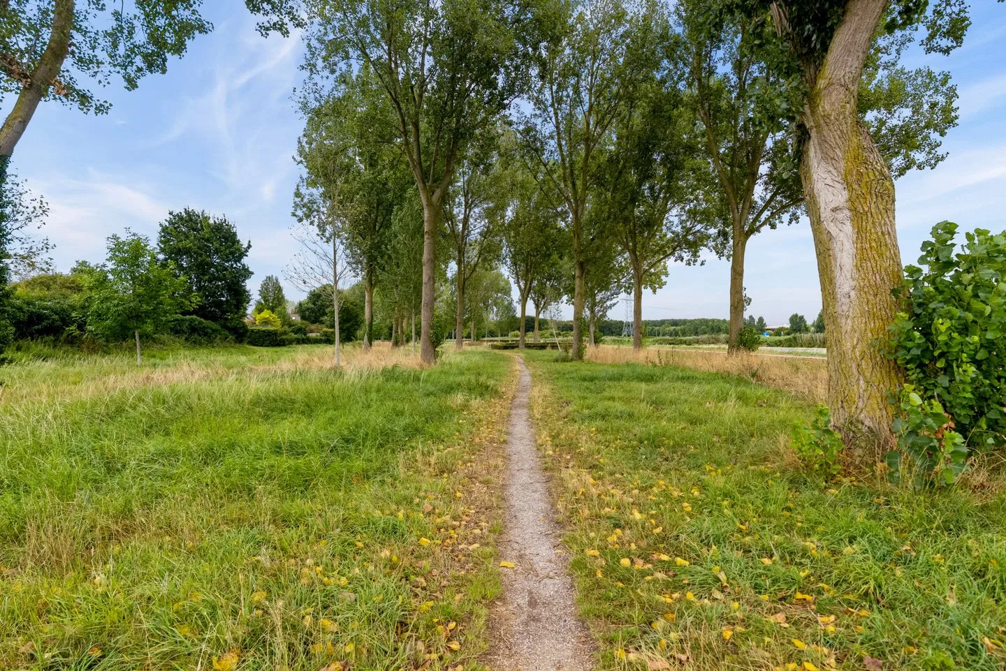 IJsbeerpad 10 Almere thumbnail 43
