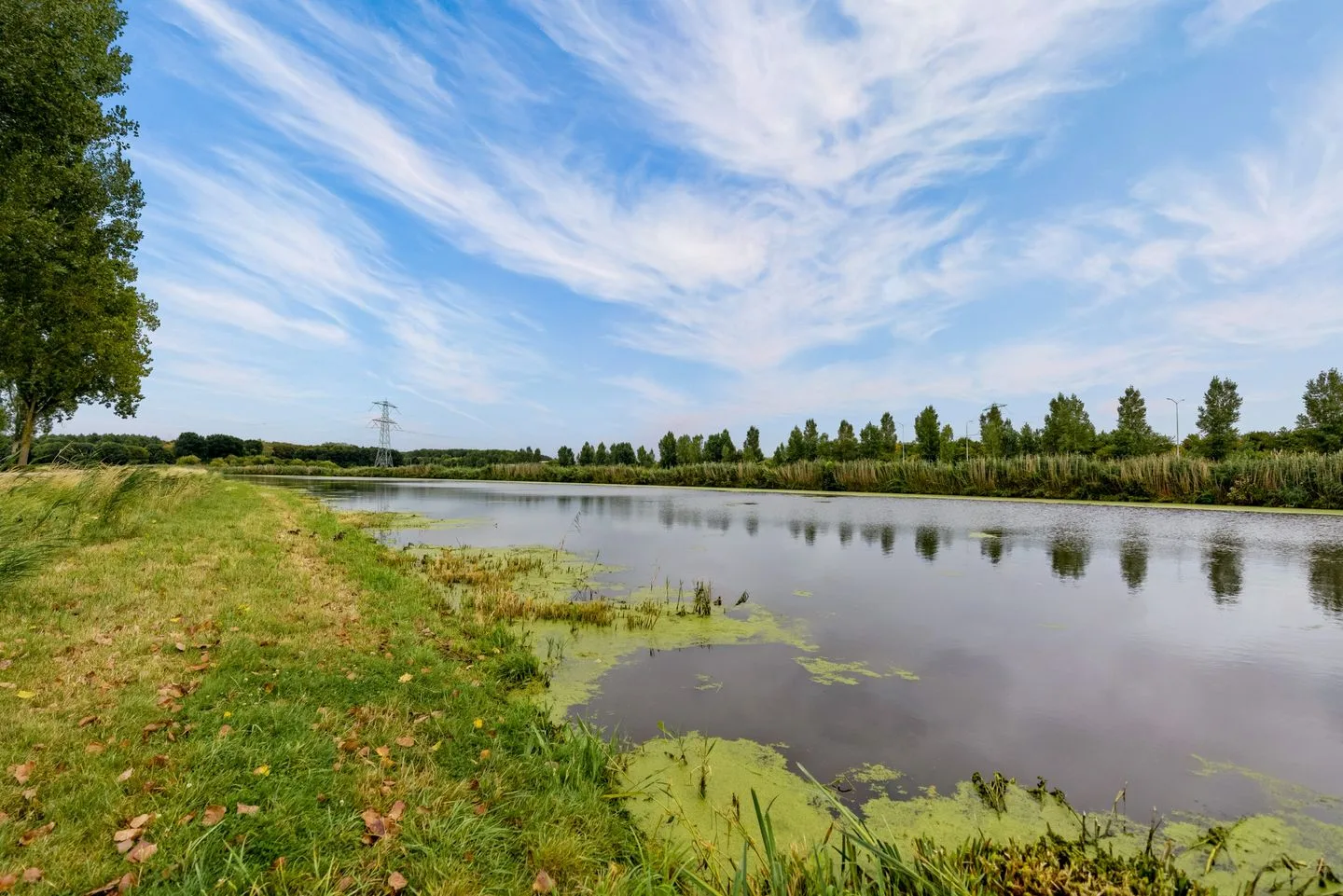 IJsbeerpad 10 Almere thumbnail 44