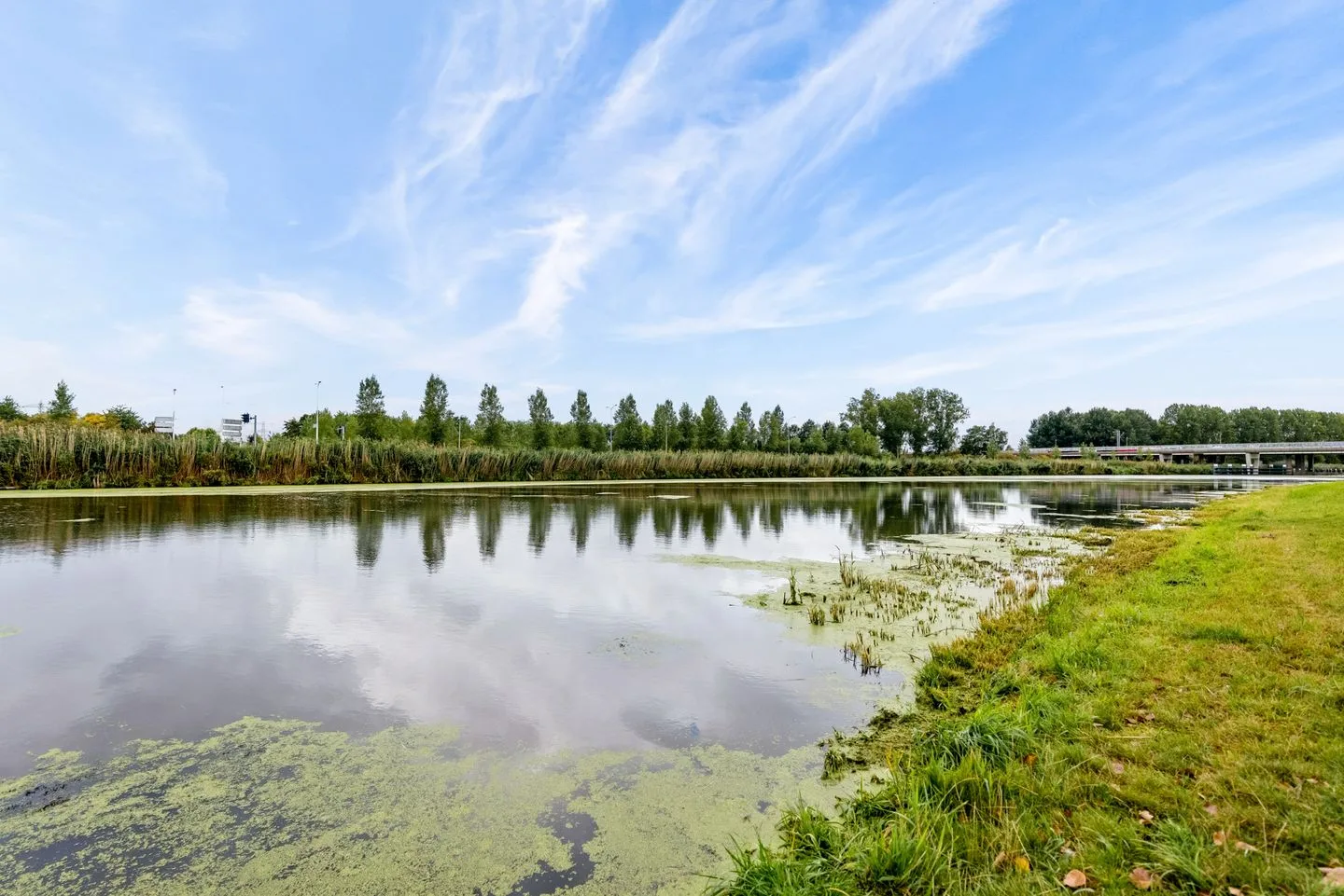IJsbeerpad 10 Almere thumbnail 45