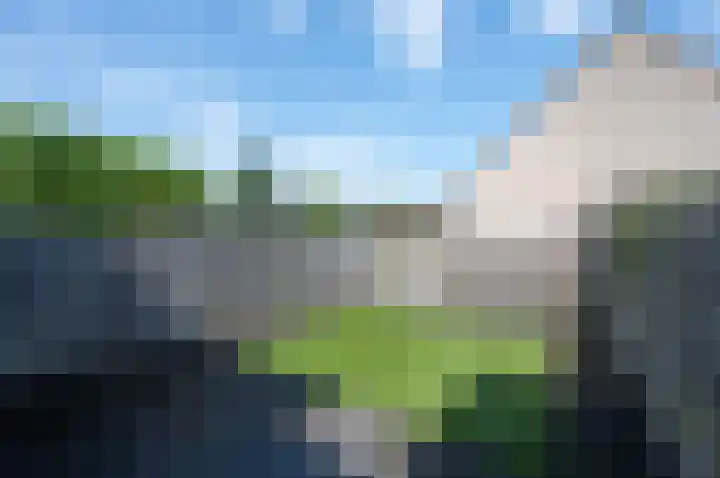 IJsbeerpad 7 Almere thumbnail 4