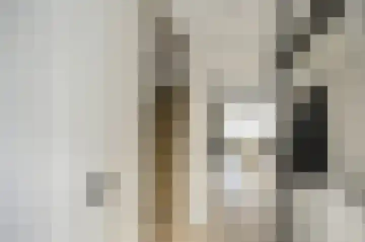 IJsbeerpad 7 Almere thumbnail 6
