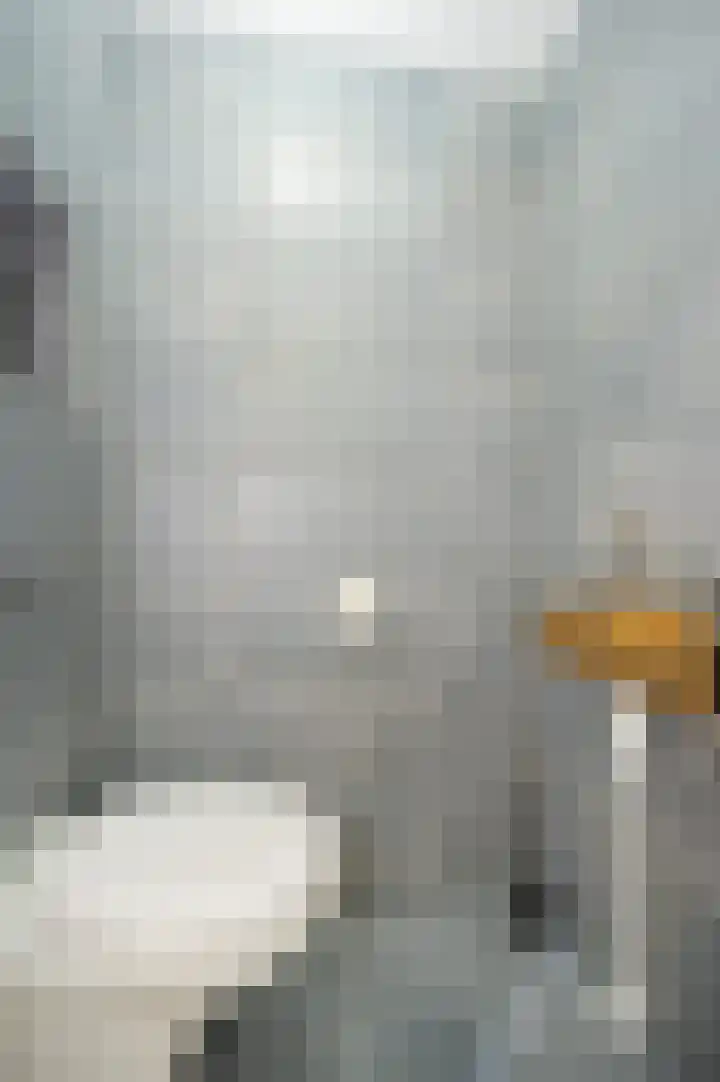 IJsbeerpad 7 Almere thumbnail 7