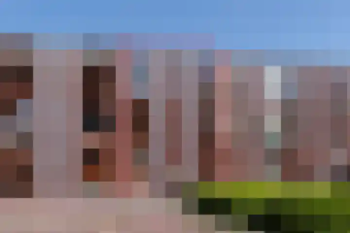 IJsbloem 1 Papendrecht