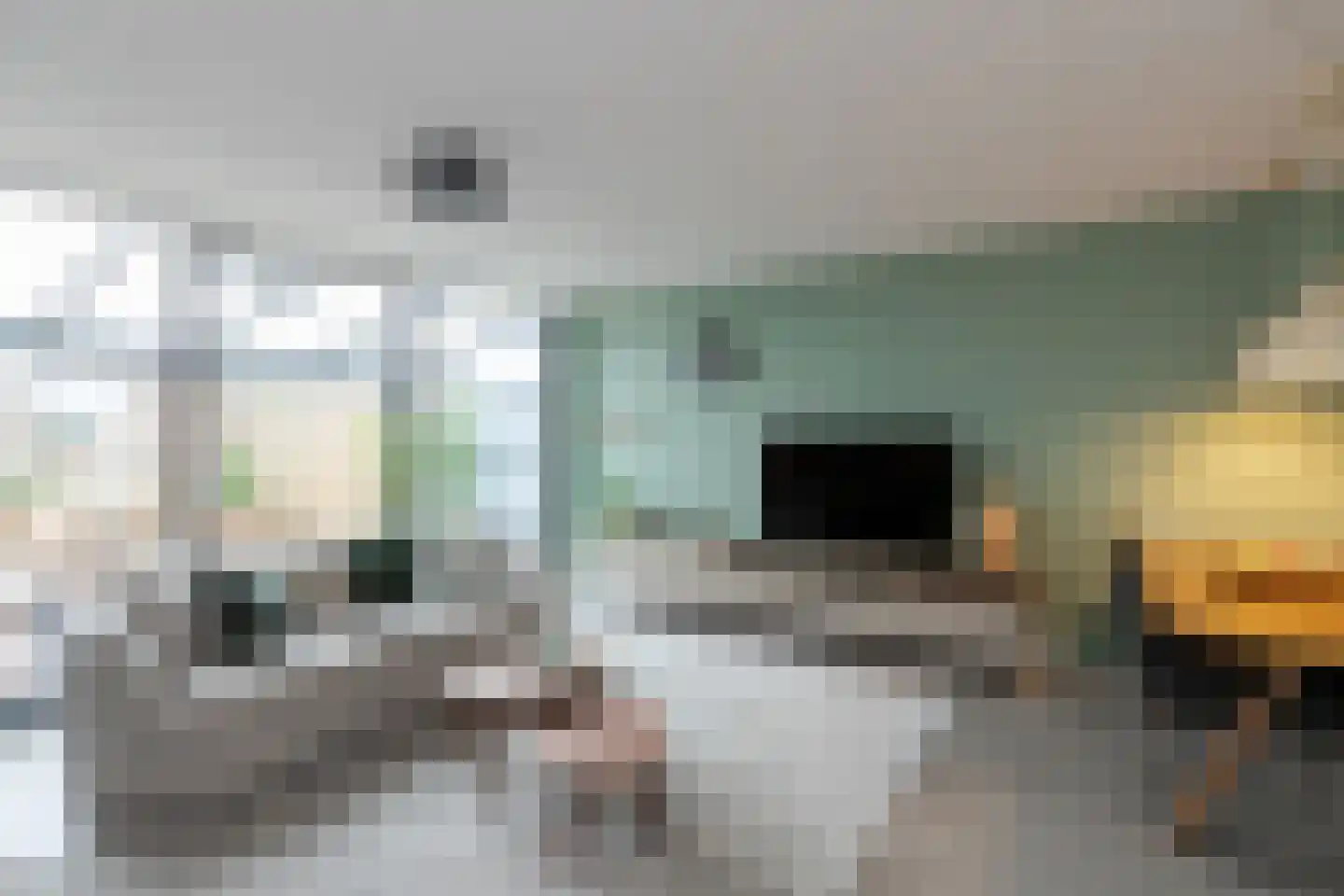 IJsbloem 1 Papendrecht thumbnail 15