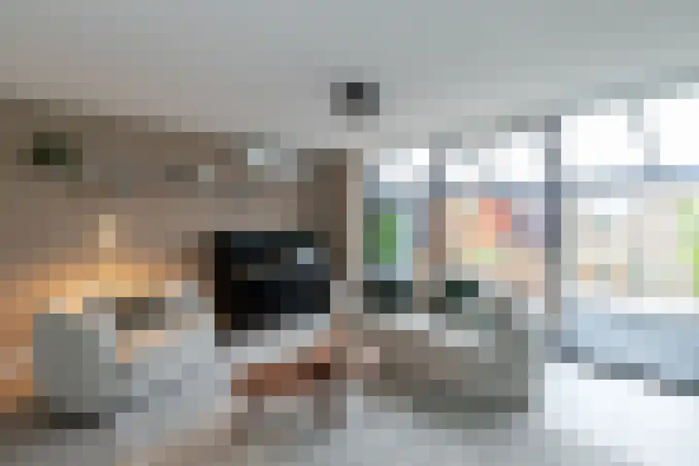 IJsbloem 1 Papendrecht thumbnail 16
