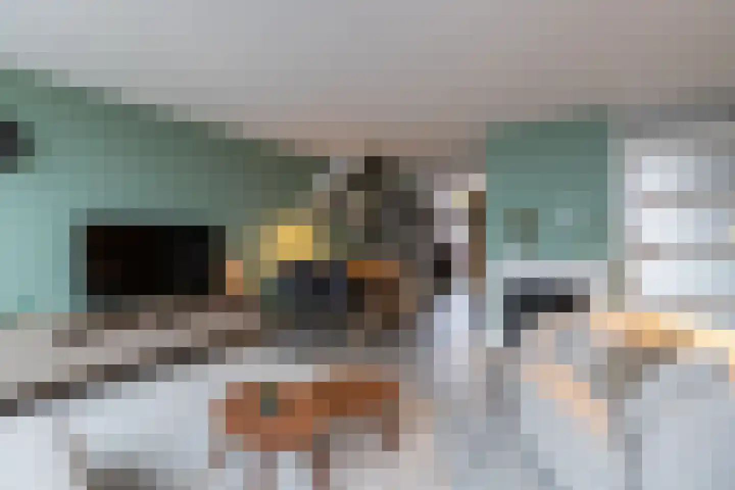 IJsbloem 1 Papendrecht thumbnail 17