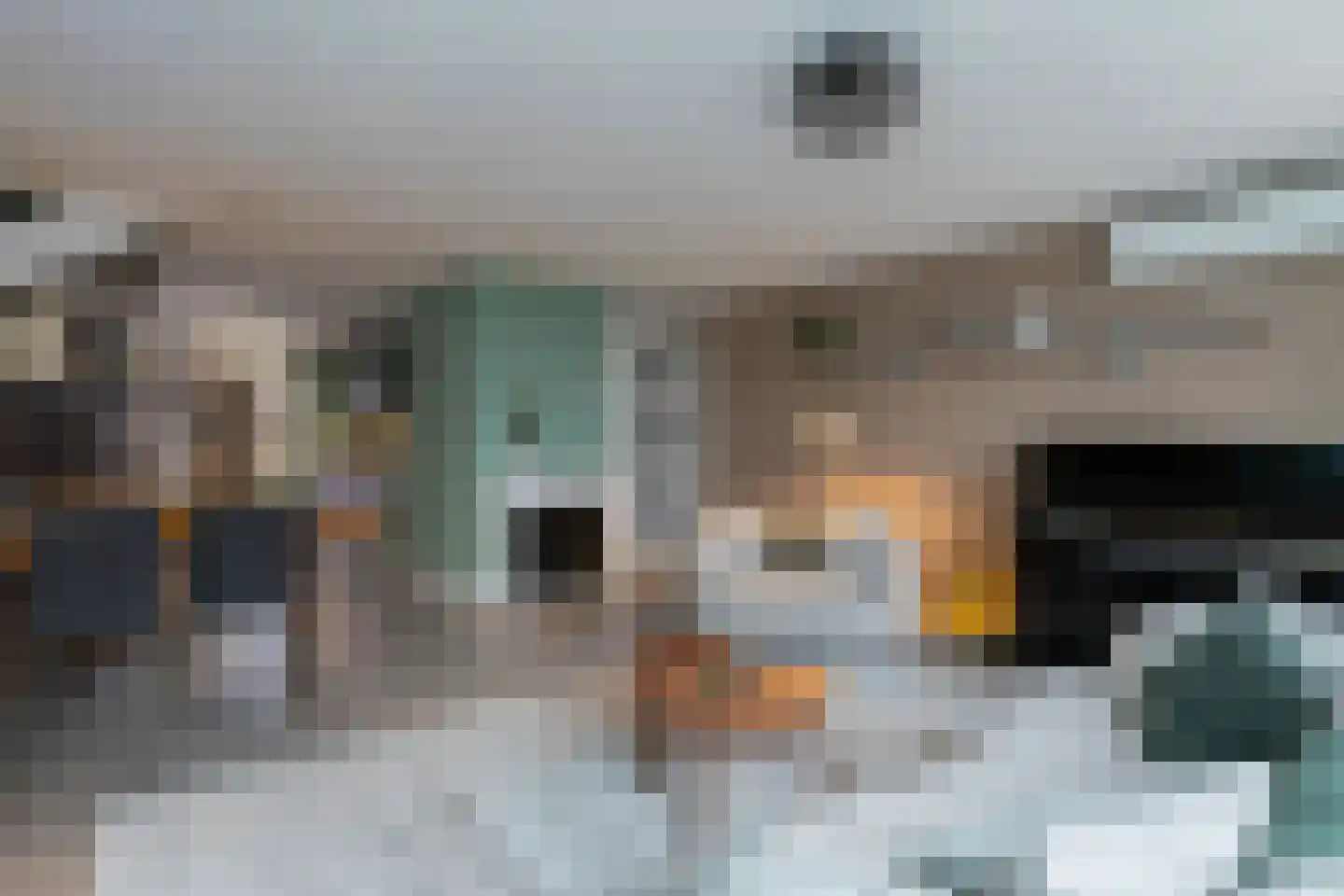 IJsbloem 1 Papendrecht thumbnail 18