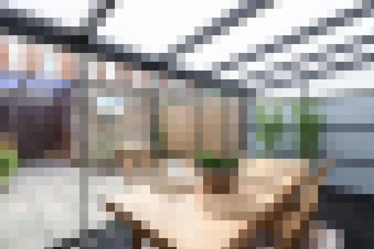 IJsbloem 1 Papendrecht thumbnail 24