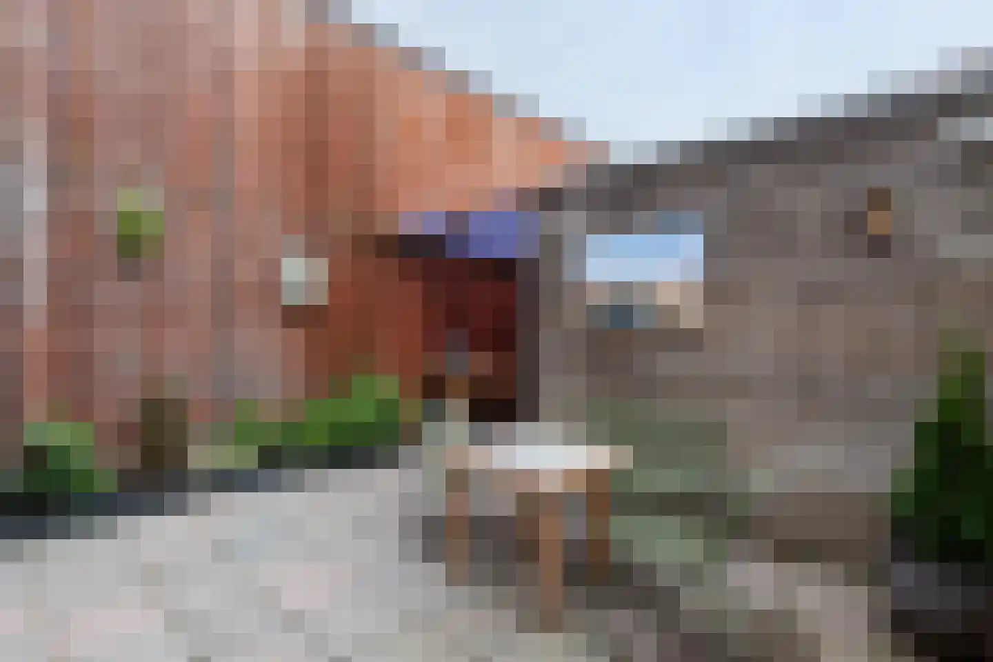 IJsbloem 1 Papendrecht thumbnail 25