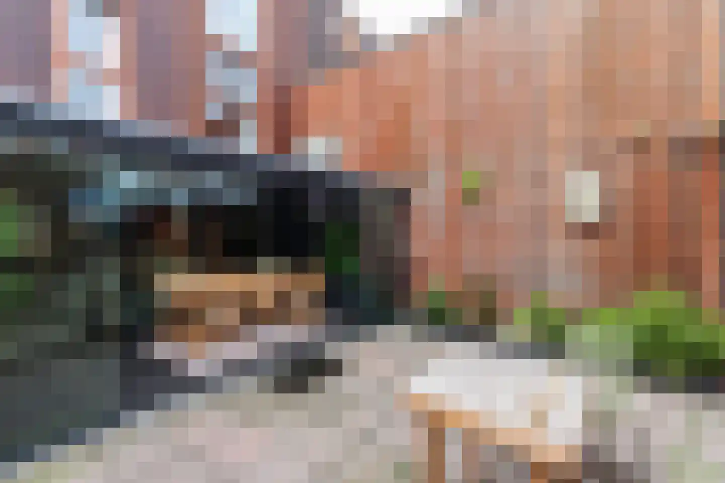 IJsbloem 1 Papendrecht thumbnail 28