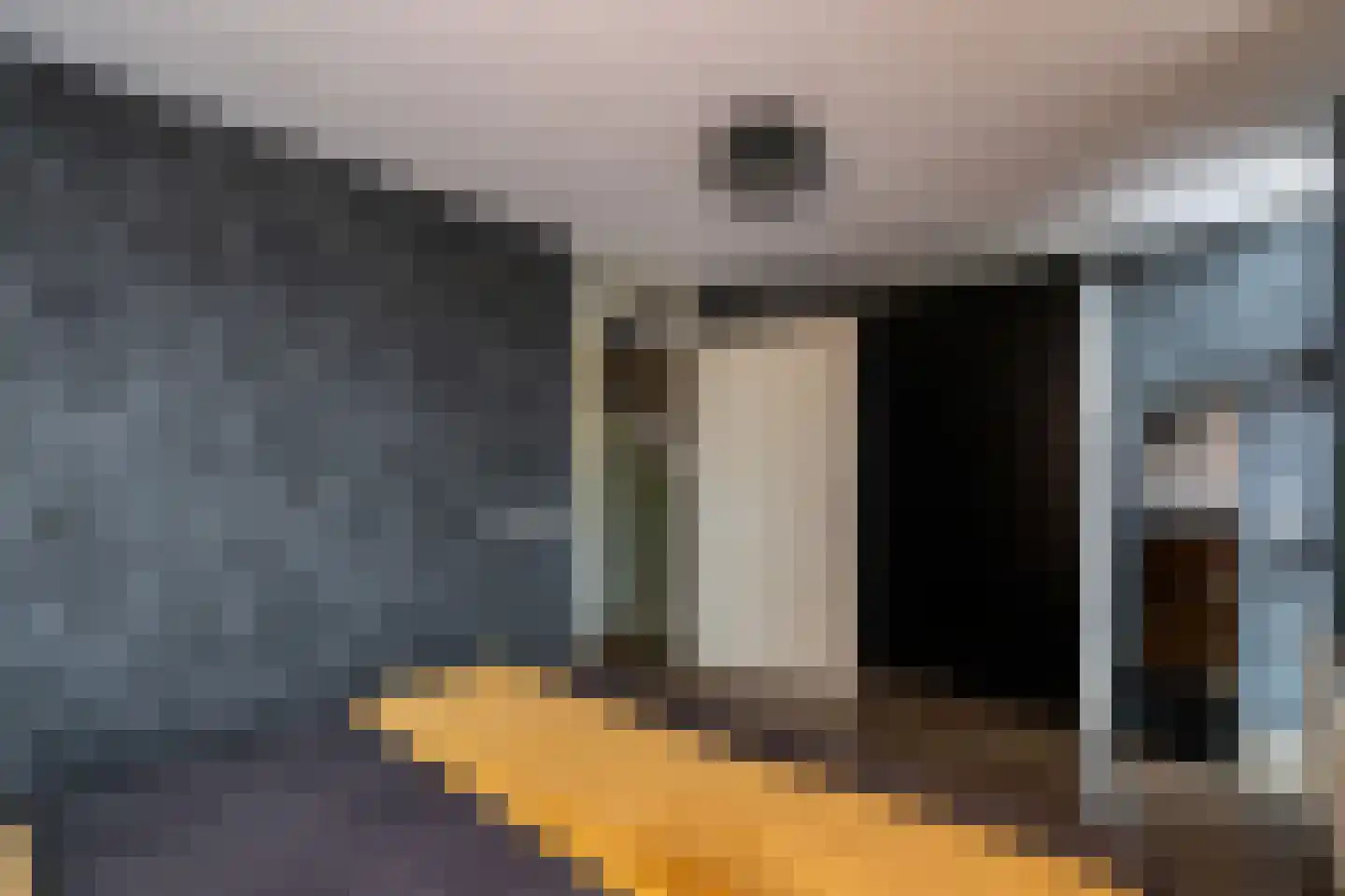 IJsbloem 1 Papendrecht thumbnail 30