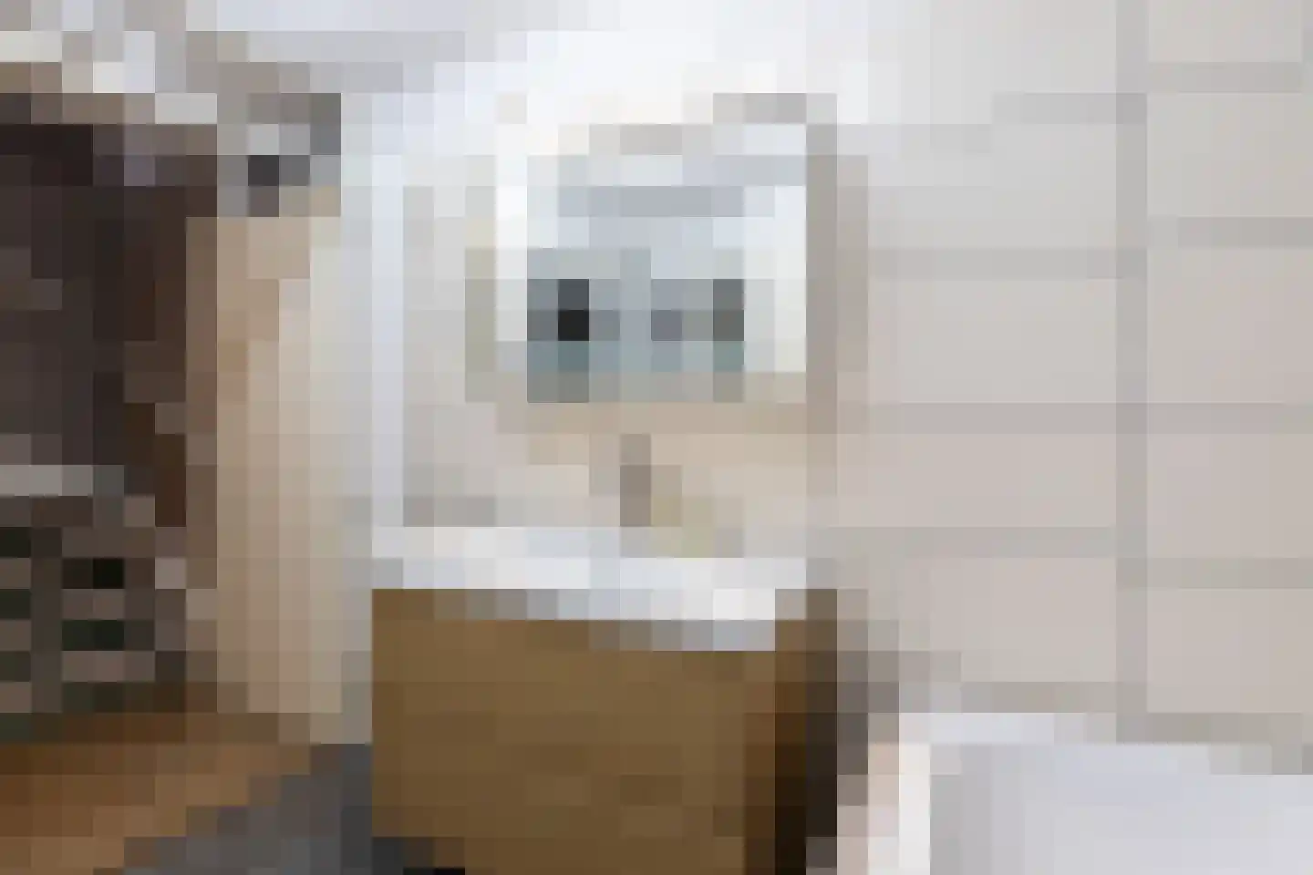 IJsbloem 1 Papendrecht thumbnail 35