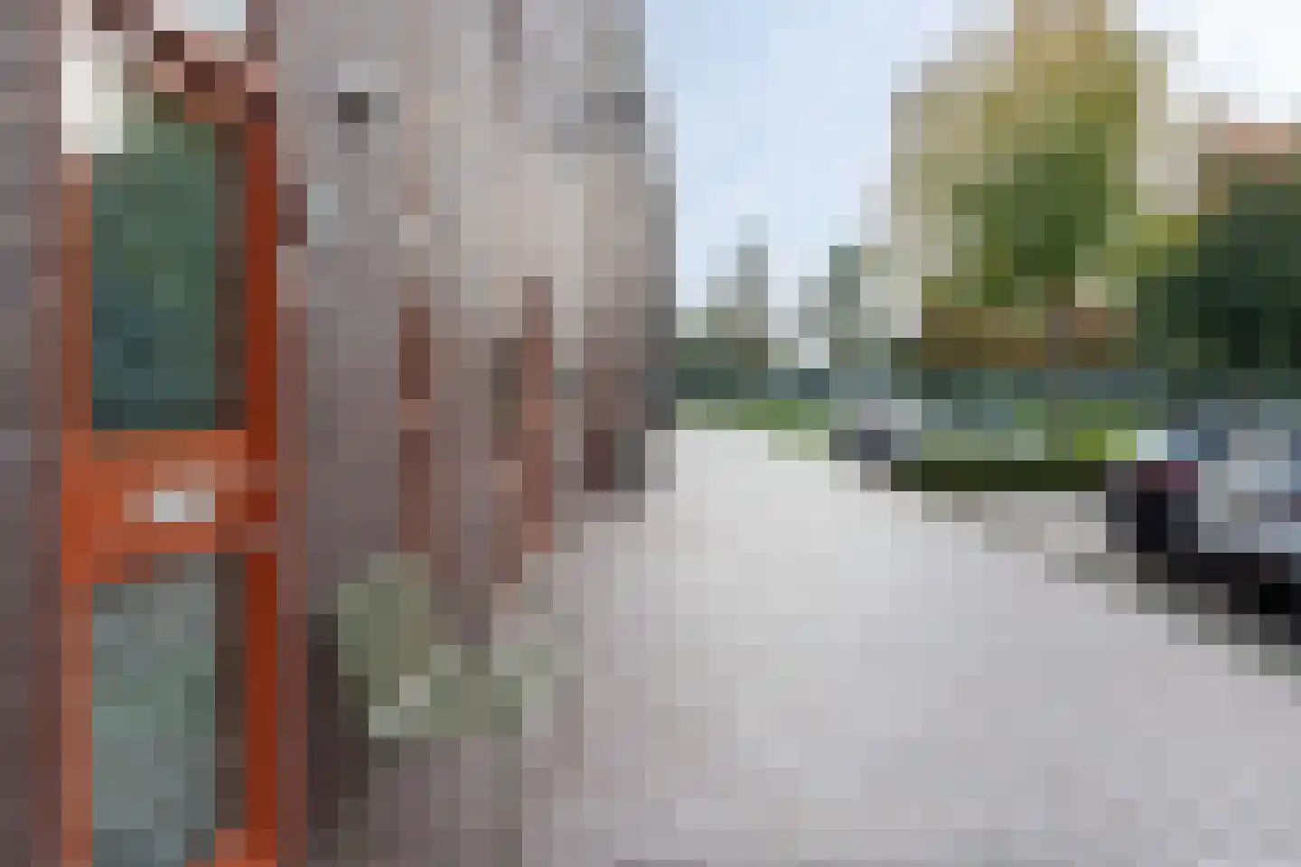 IJsbloem 1 Papendrecht thumbnail 41