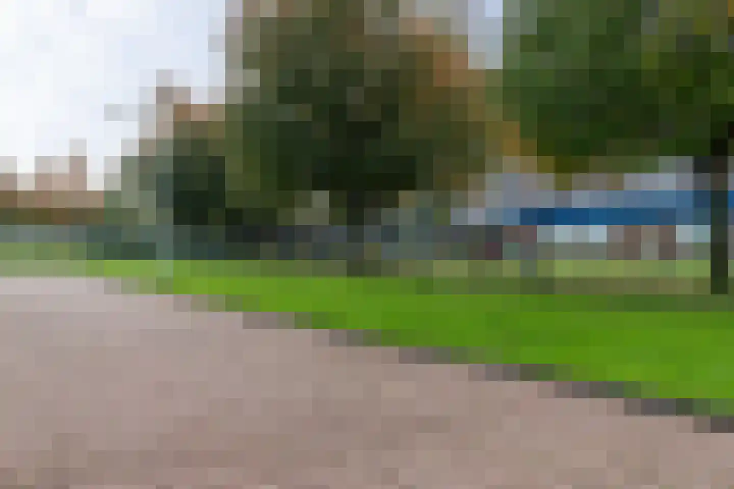 IJsbloem 1 Papendrecht thumbnail 42