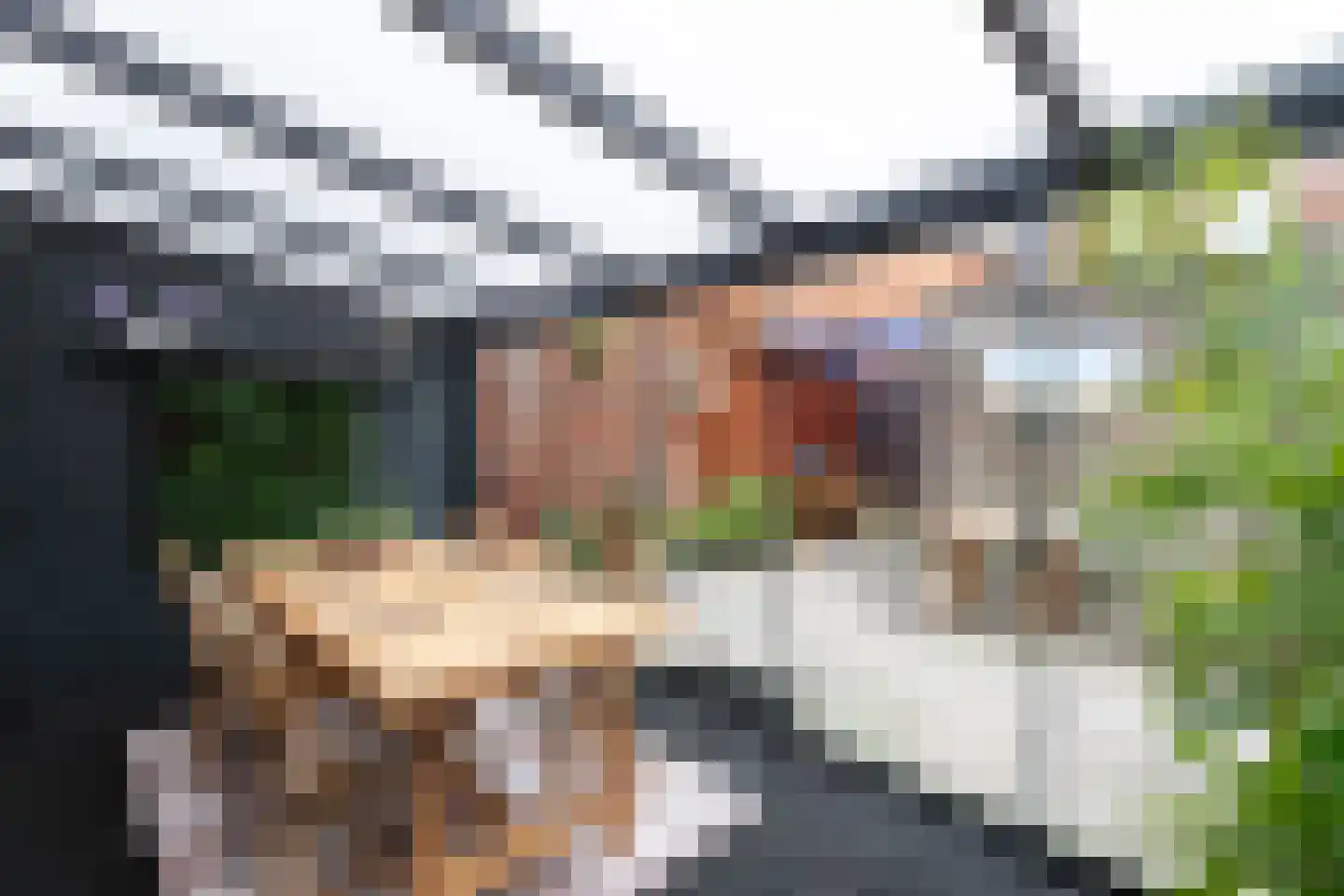 IJsbloem 1 Papendrecht thumbnail 7