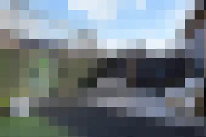 IJsbloem 11 Nootdorp thumbnail 15