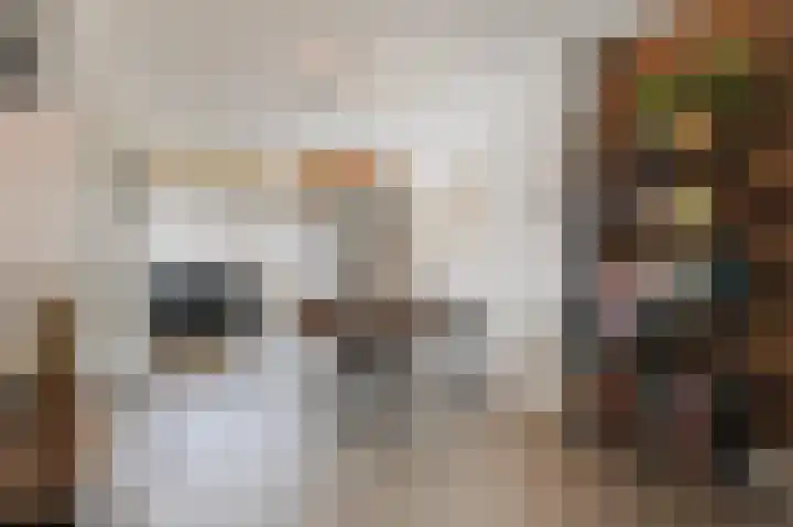 IJsbloem 11 Nootdorp thumbnail 30