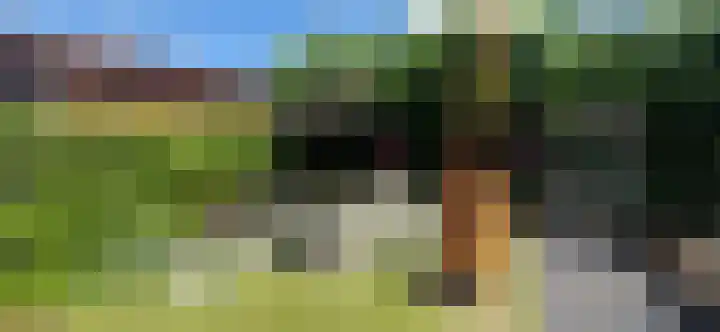 IJsbloem 11 Nootdorp thumbnail 63