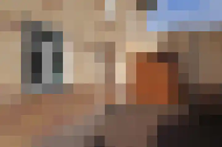 IJsbloem 11 Nootdorp thumbnail 7